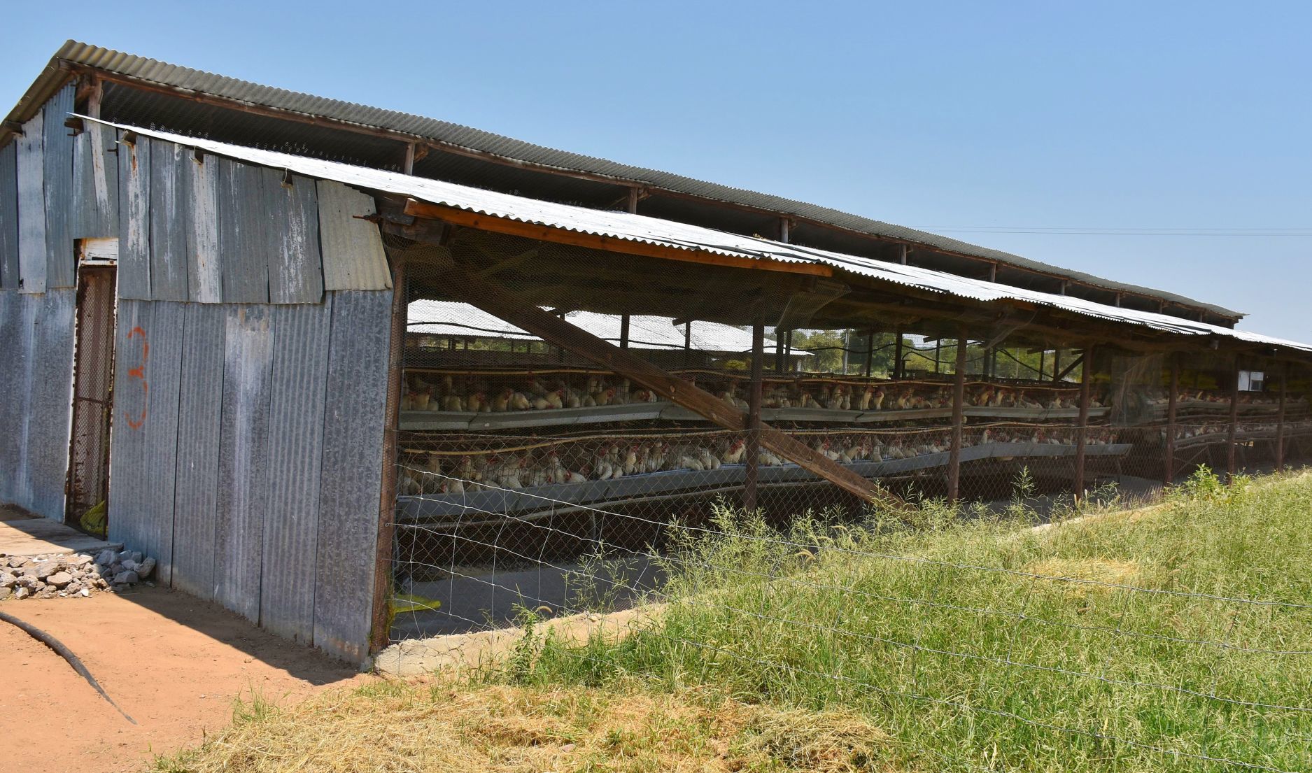 Hen houses have open sides